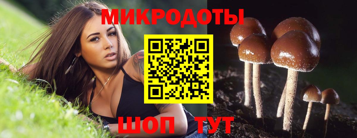 Галлюциногенные грибы GOLDEN TEACHER  Вход с VPN  Амурск  Псилоцибиновые грибы GOLDEN TEACHER 