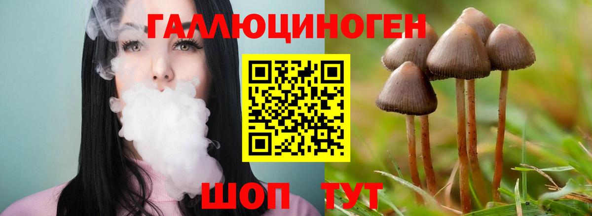 Галлюциногенные грибы ЛСД Амурск